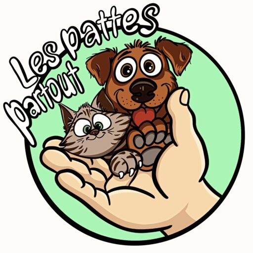 Les Pattes Partout